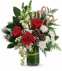 Teleflora's Festive Pines Bouquet from McIntire Florist in Fulton, Missouri